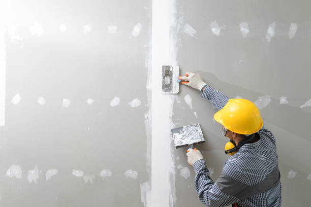 Professional Drywall & Painting Services in East Highland Park, VA